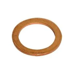 1186619 - Anti Vacuum Valve 1/4" copper washer