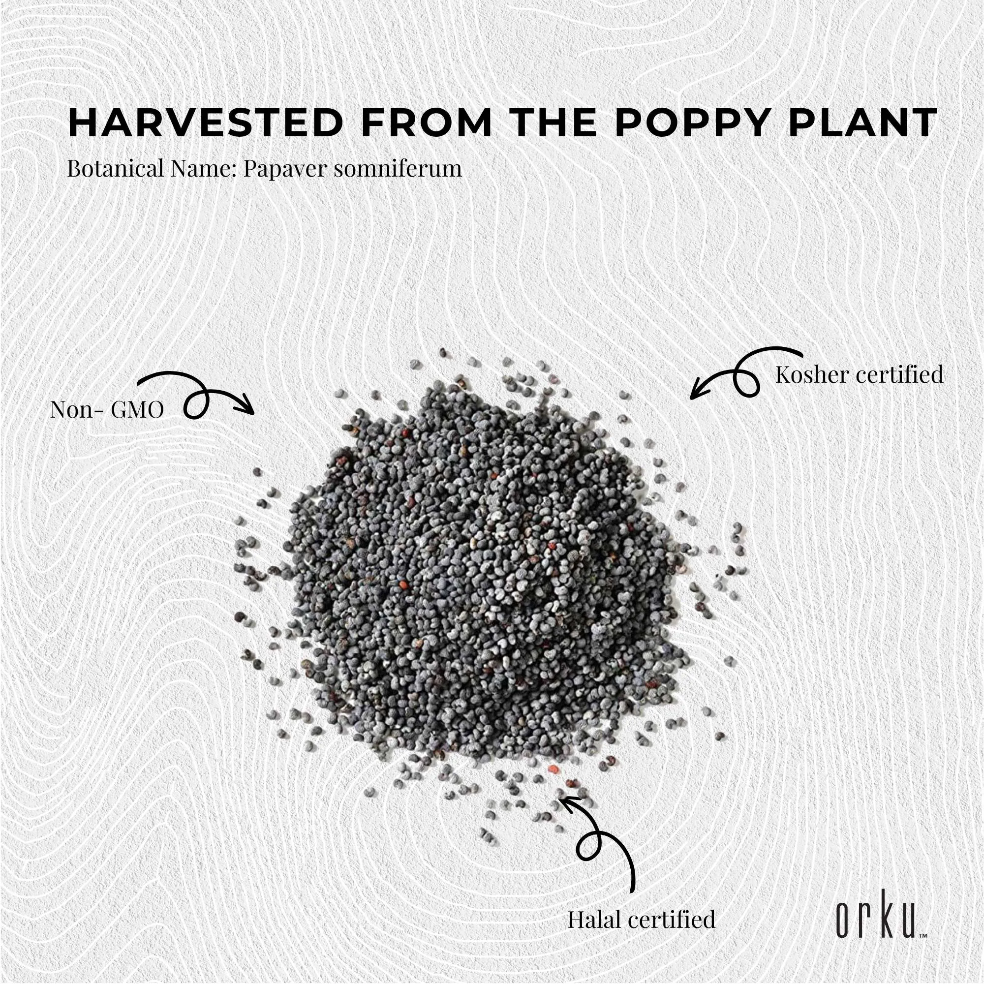 5Kg Unwashed Blue Poppy Seeds - High Fibre, B Vitamins, Minerals