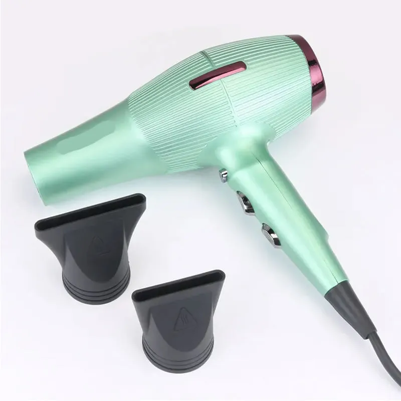 8500W Professional Powerful Hot And Cold Wind Salon Hair Dryer En-6008