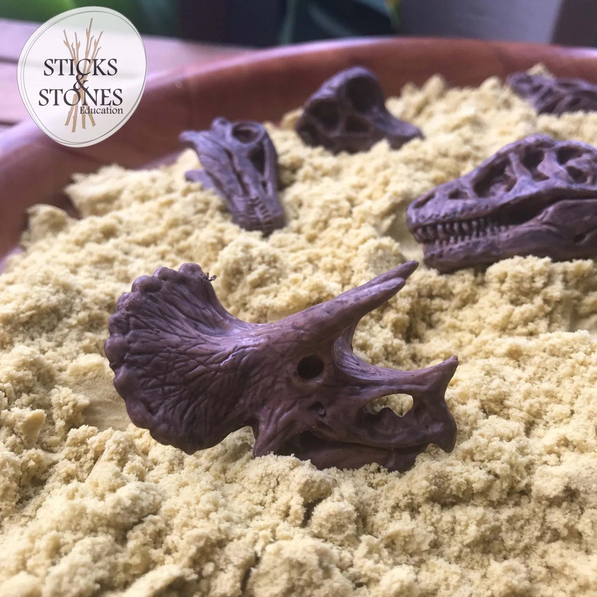 Dino Skulls Toob