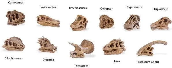 Dino Skulls Toob