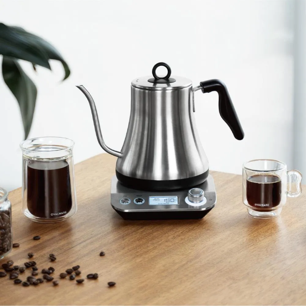 Electric Pour Over Gooseneck Kettle