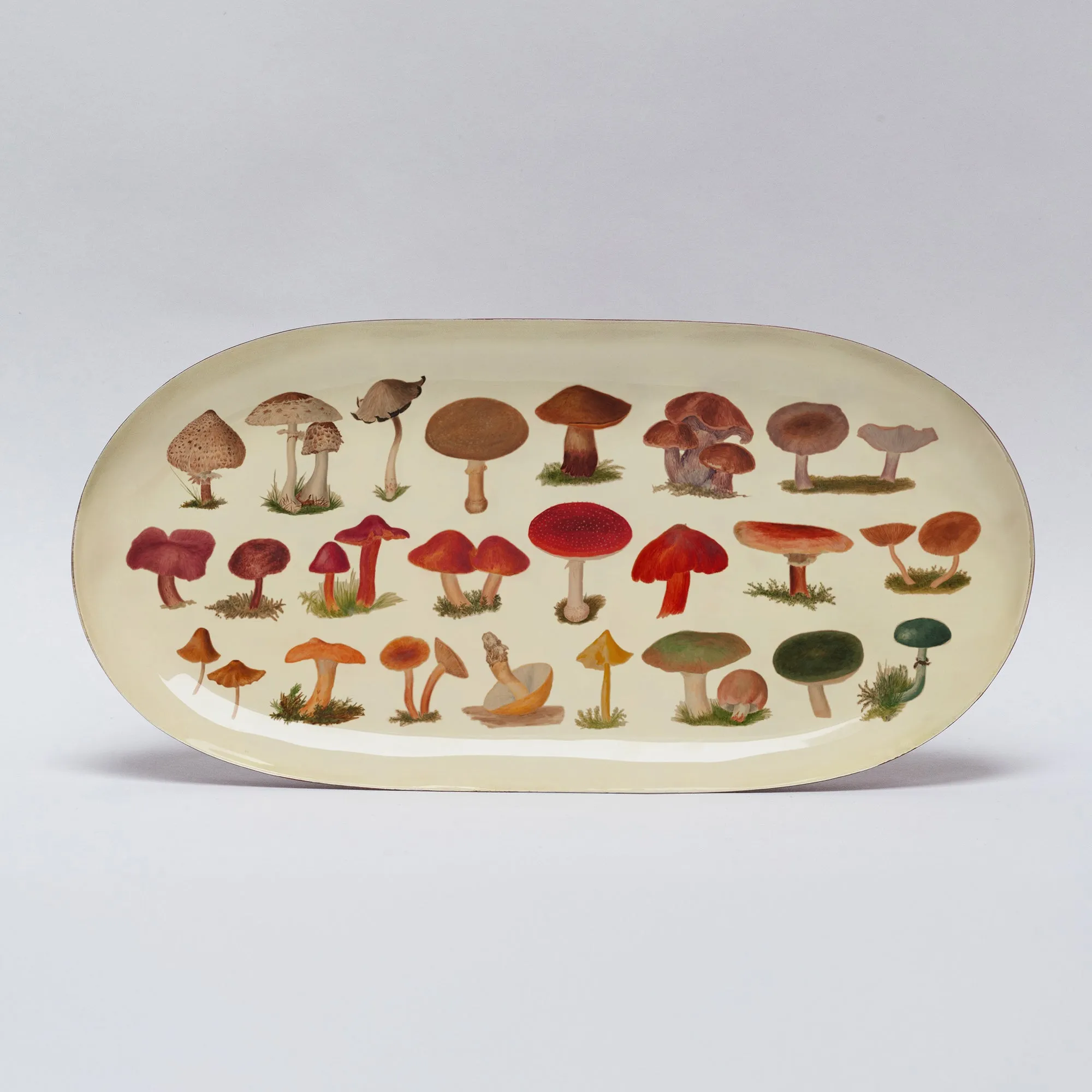 Enamel Printed Tray - Fungi