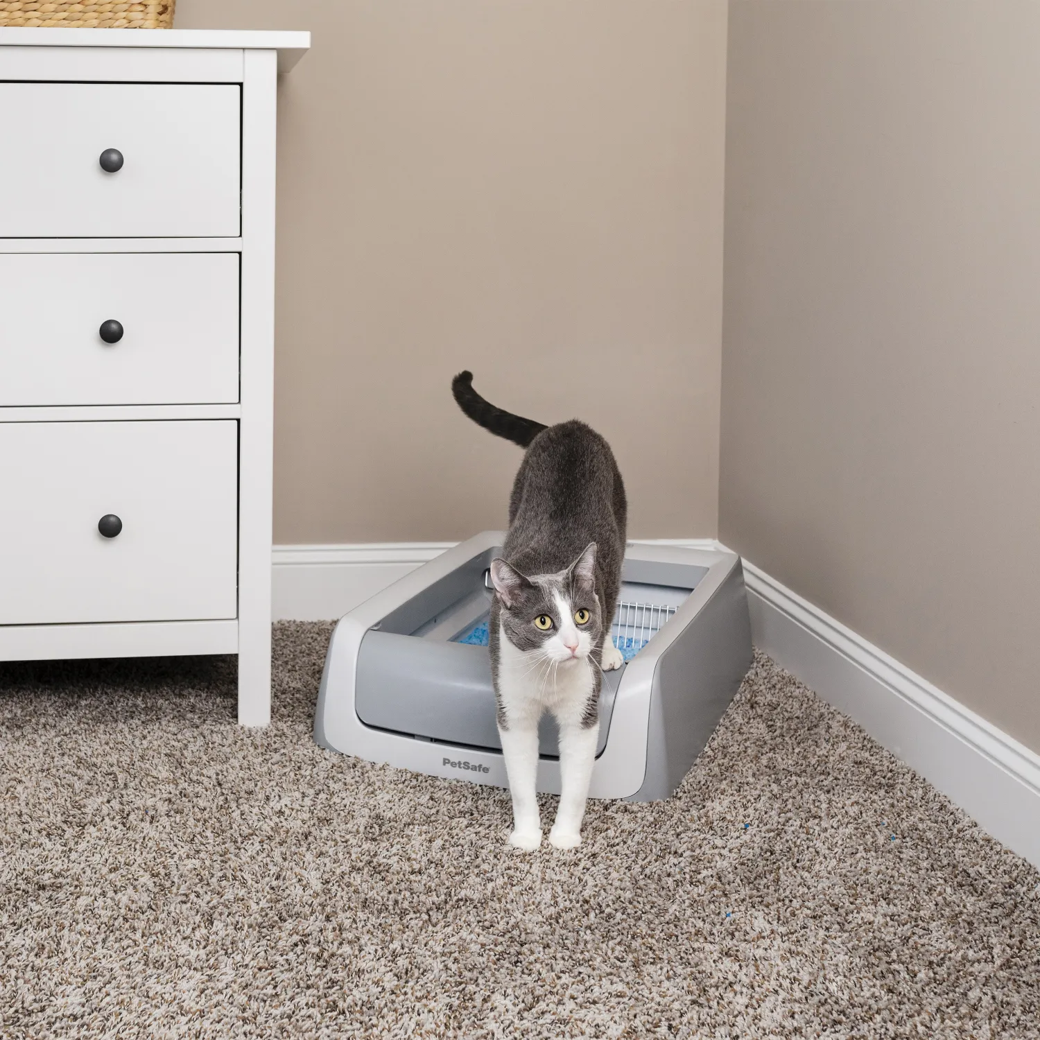 ScoopFree® Self-Cleaning Litter Box, Second Generation