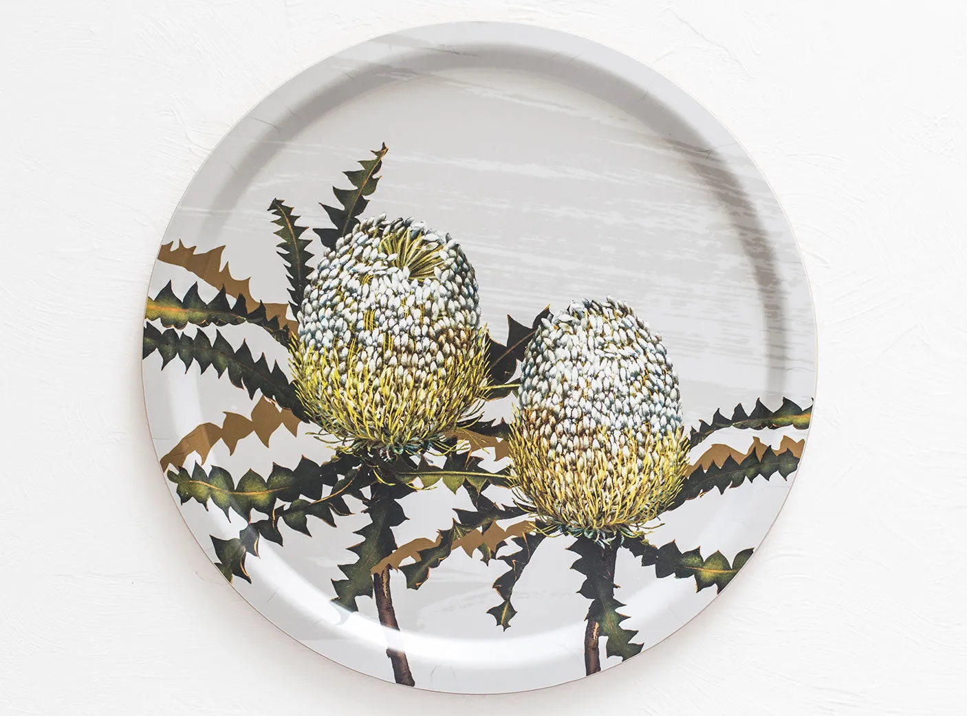 Showy Banksia Tray 39cm