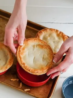 Turkey and Vegetable Meat Pie