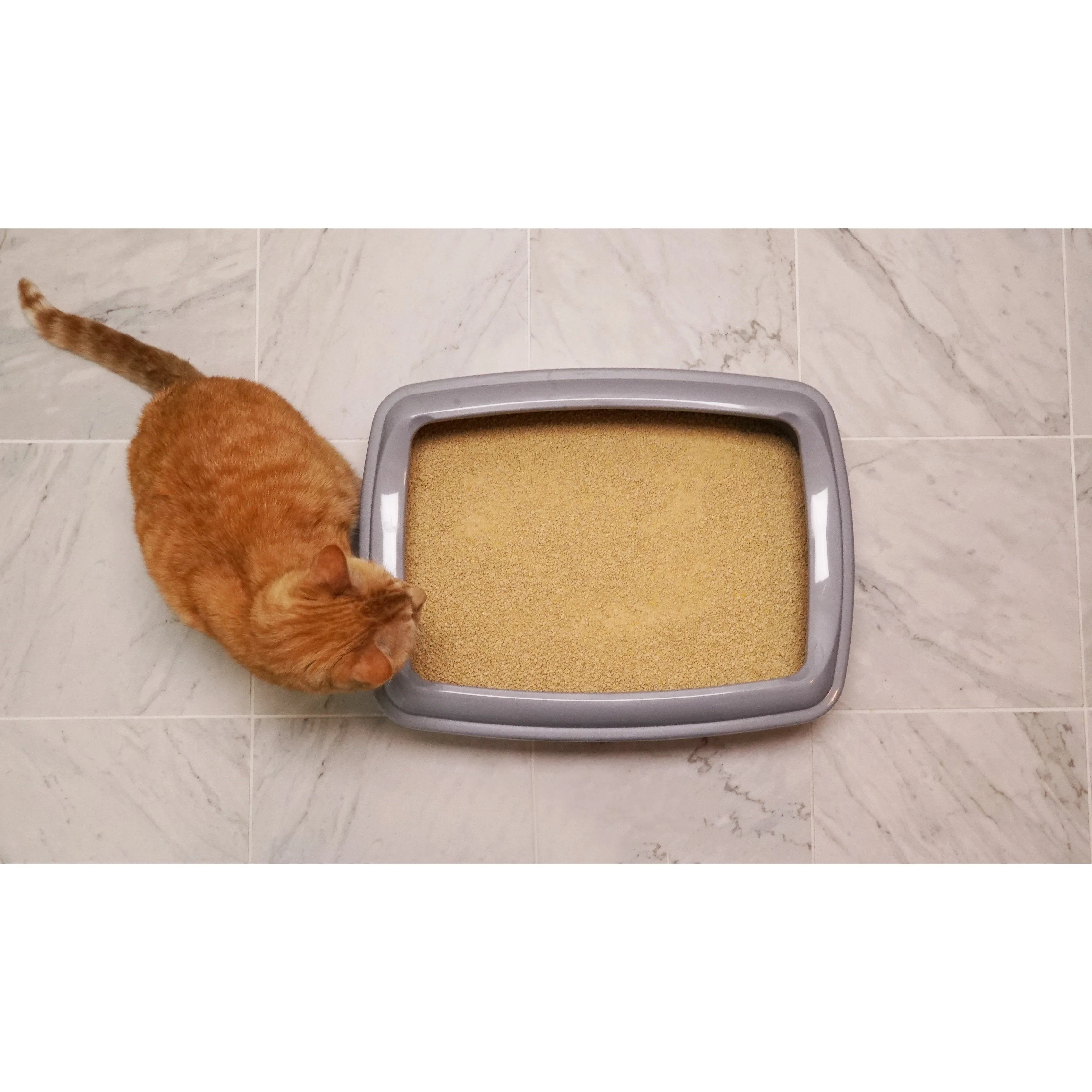 Worlds Best Original Unscented Clumping Cat Litter 12.7kg